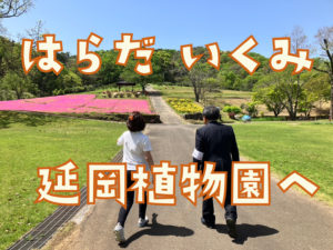 選挙二日目　延岡植物園からの山内かなこ県議