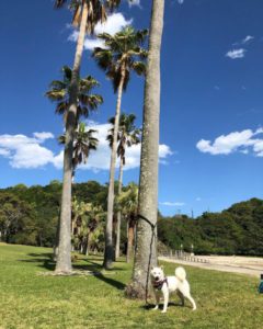 私は「こどもの笑顔最優先」と掲げて活動しています。