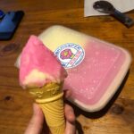 「秋田名物ババヘラアイス」