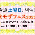 ミモザフェス2025